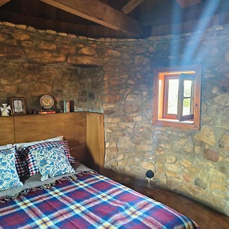 Moinho Da Alfazema Villa Penacova Kültér fotó