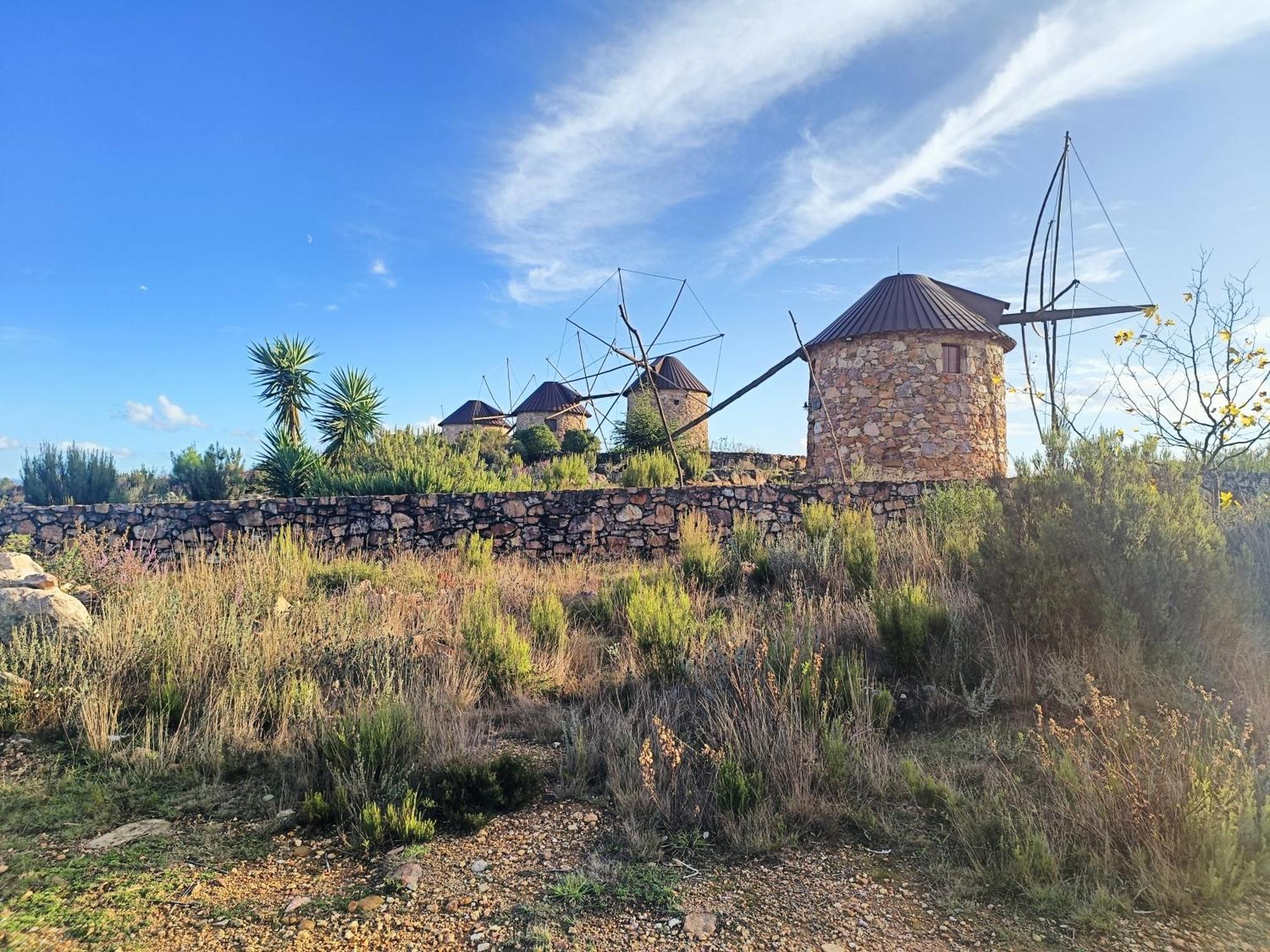 Moinho Da Alfazema Villa Penacova Kültér fotó