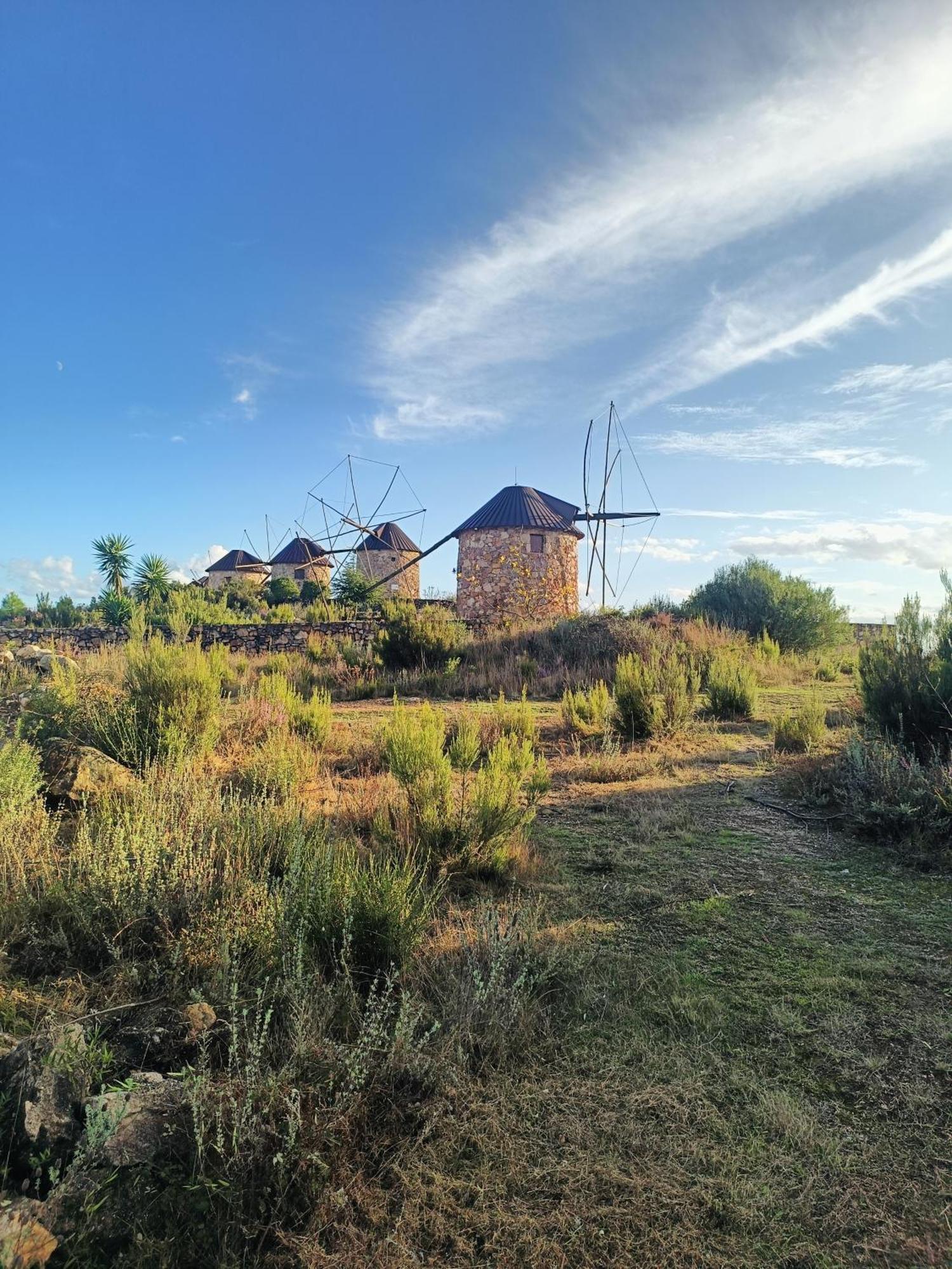 Moinho Da Alfazema Villa Penacova Kültér fotó